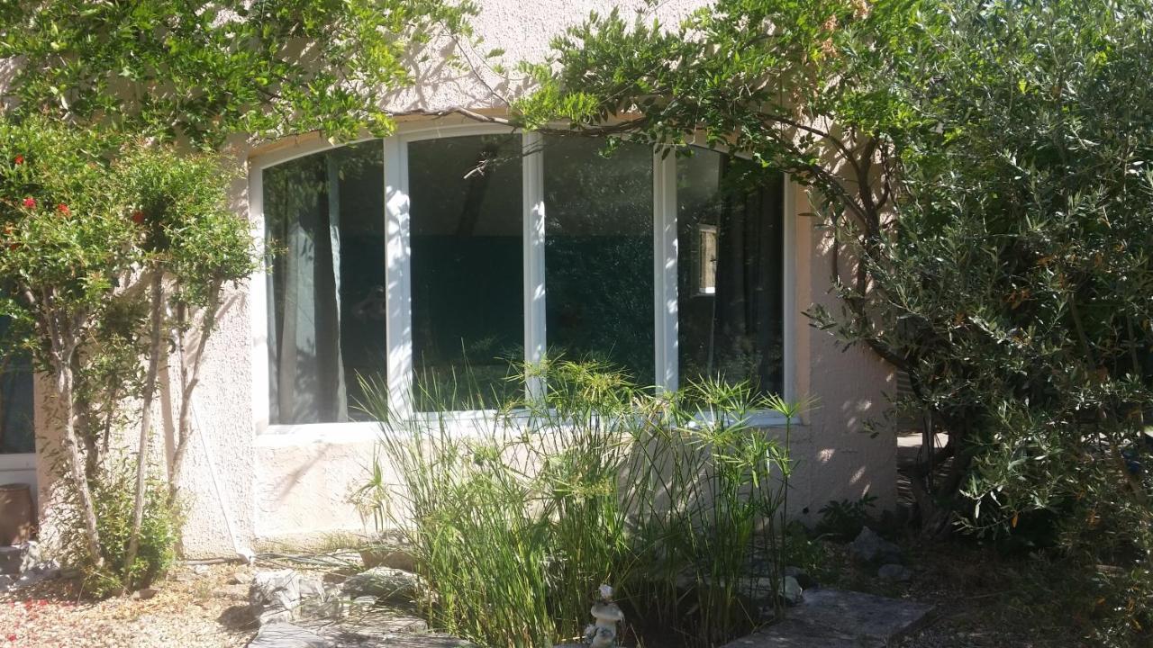 Le clos des olivettes Sainte-Croix-de-Quintillargues Exterior foto